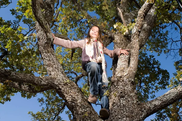 Nuori Tyttö Kiipeää Puuhun Hymyillen — kuvapankkivalokuva