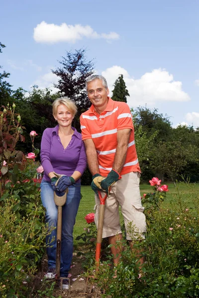 Portrait Jardiniers Couple Sur Pelouse Dans Jardin — Photo