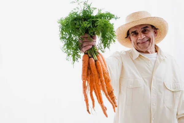 Человек в шляпе держит кучу моркови — стоковое фото
