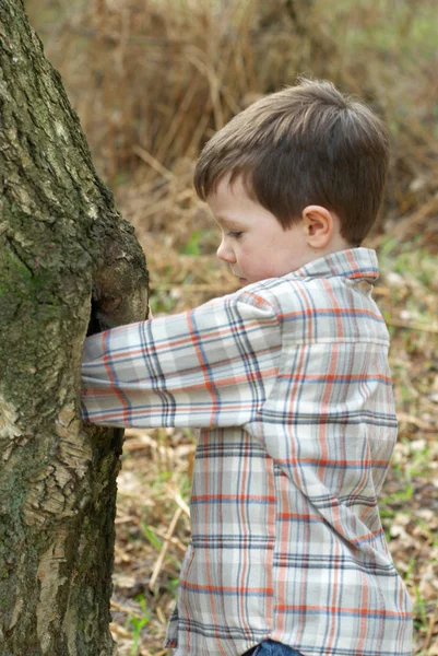 Boy Reaching Tree Stock Picture