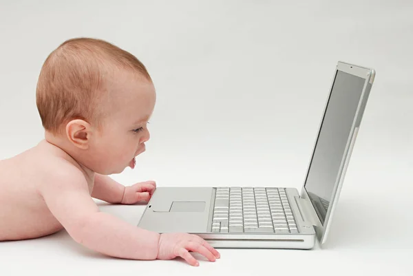 Bebê olhando para laptop — Fotografia de Stock