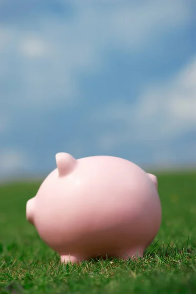 Piggy banks financiële — Stockfoto