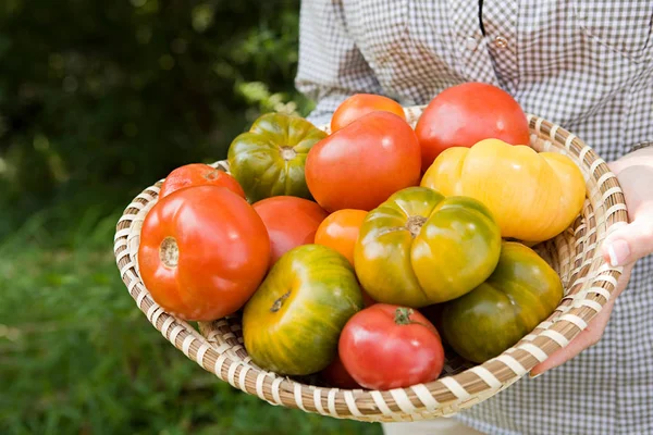 Bol pour personne avec tomates — Photo