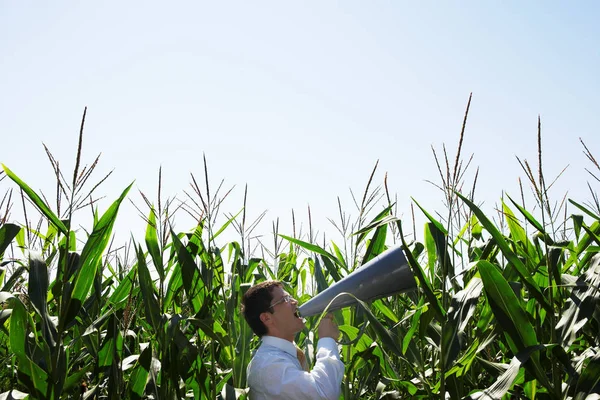 Людина з мегафоном на кукурудзяному полі — стокове фото