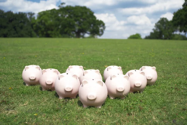 Piggy banks financial