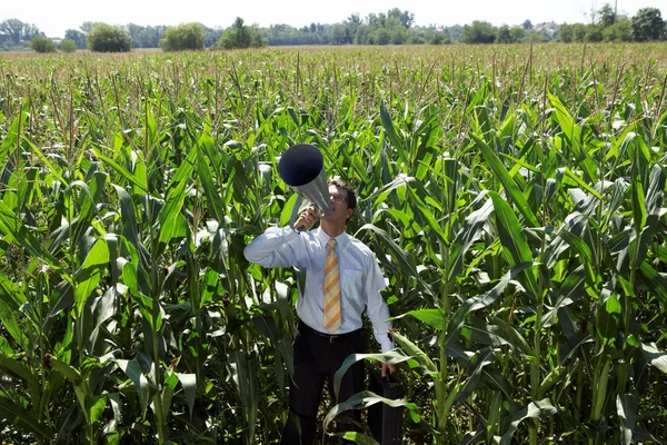 Homme avec mégaphone dans le champ de maïs — Photo