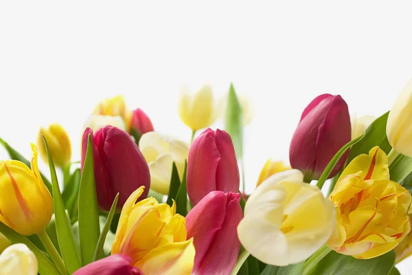 Kytice Červené Žluté Tulipány Bílém Pozadí — Stock fotografie