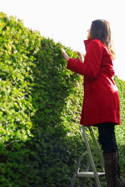 Mulher olhando sobre a parede verde — Fotografia de Stock