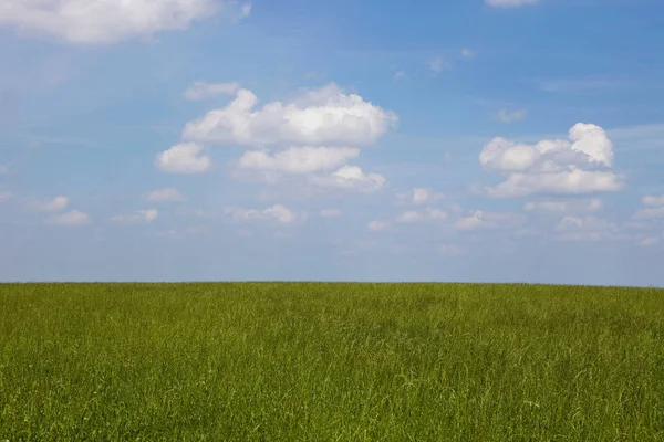 Paisaje con campo y cielo —  Fotos de Stock