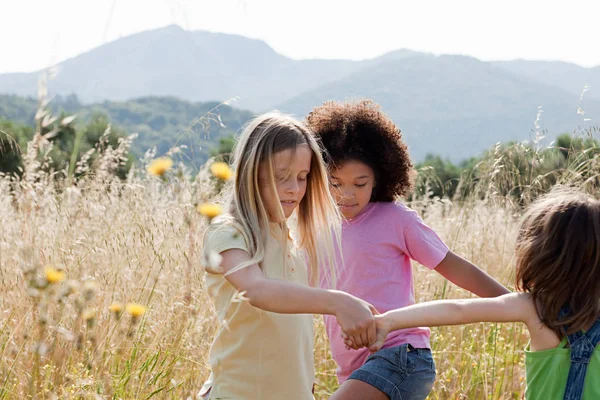 Amici Che Tengono Mano Sul Campo — Foto Stock