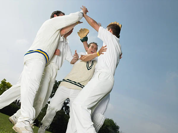 Крикетологи Святкують Концепція Активного Спорту — стокове фото