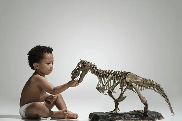 Toddler Touching Dinosaur Skeleton — Stock Photo, Image