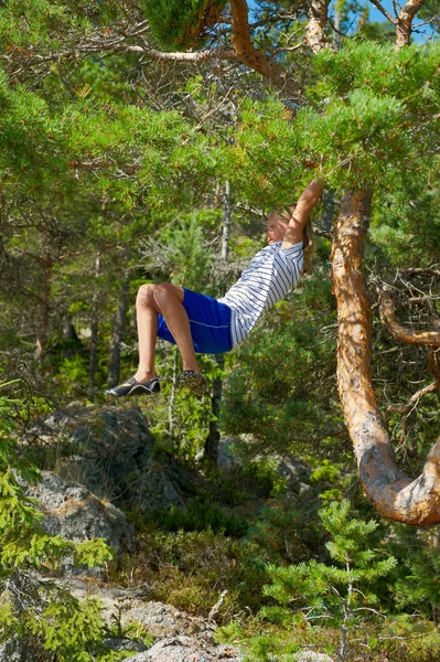 Menino Balançando Árvore Floresta — Fotografia de Stock