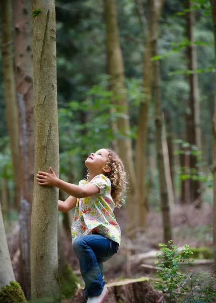 Вид Сбоку Маленькой Девочки Начинающей Взбираться Высокое Дерево — стоковое фото