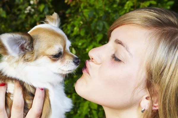 Mulher Seu Chihuahua — Fotografia de Stock