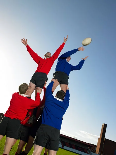 Rugby Oyuncuları Sahada Pratik Yapıyor — Stok fotoğraf