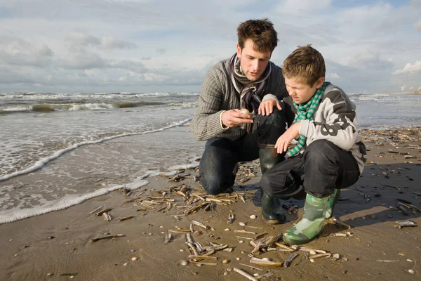 Father Son Sea — Stock Photo, Image