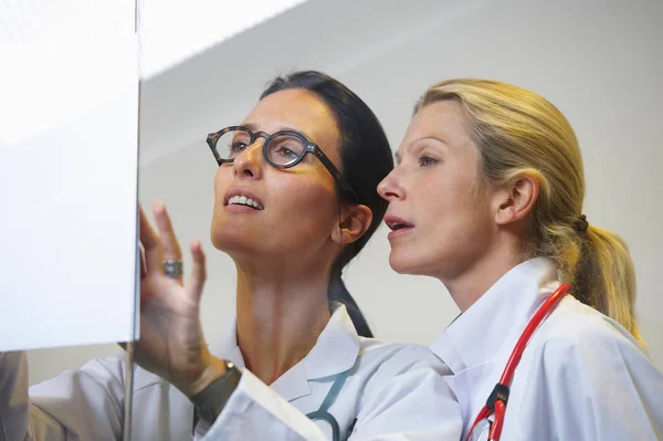 Médicos Olhando Para Arquivo — Fotografia de Stock