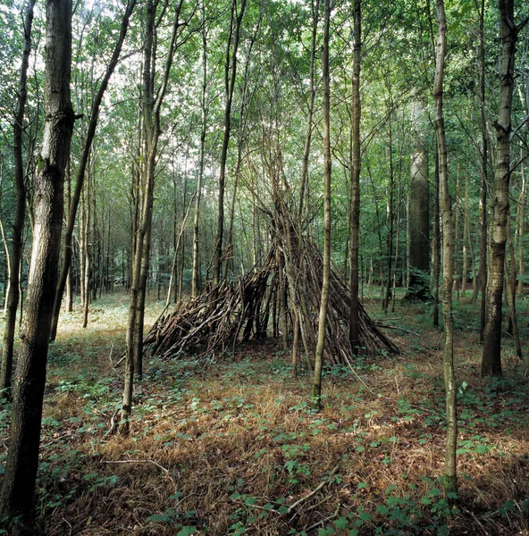 Teepee Brüksel Deki Bir Ormanda Doğal Görünümünü — Stok fotoğraf