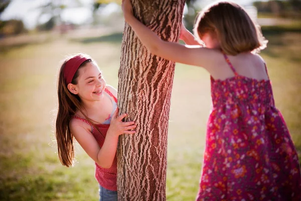 Chicas Jóvenes Jugando Alrededor Del Árbol —  Fotos de Stock