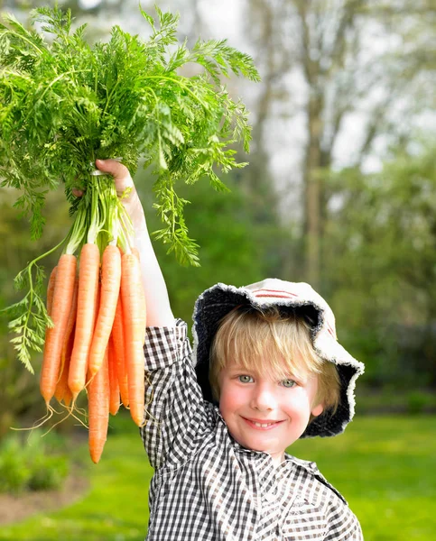 Niño Sosteniendo Racimo Zanahoria — Foto de Stock