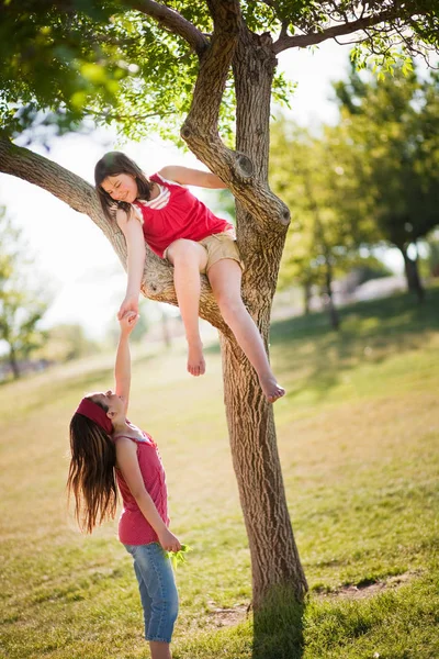 Chica Ayudando Amigo Subir Árbol — Foto de Stock