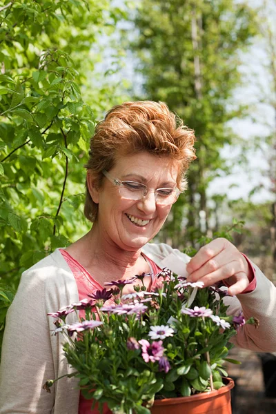 Femme Regardant Une Plante Pot Pépinière — Photo