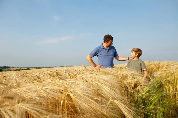 Father Son Wheat Field — Stock Photo, Image