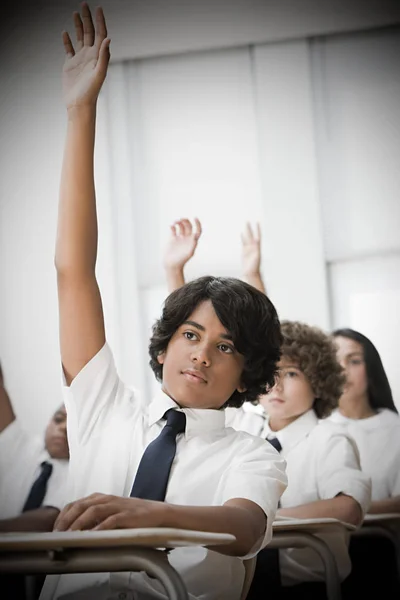 School Students Hands Raised — Stock Photo, Image