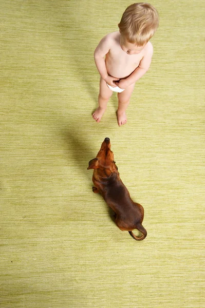 犬と男の赤ちゃん — ストック写真