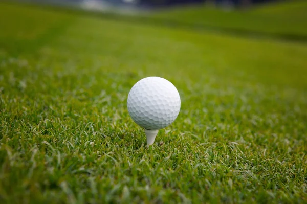 Közeli Ból Golf Labda Tee — Stock Fotó