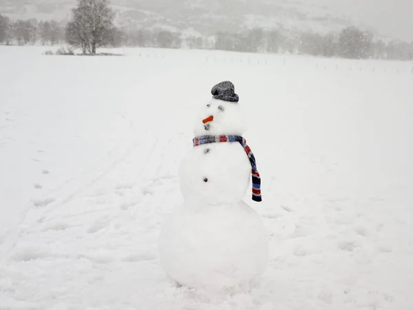 Snögubbe med halsduk och hatt — Stockfoto