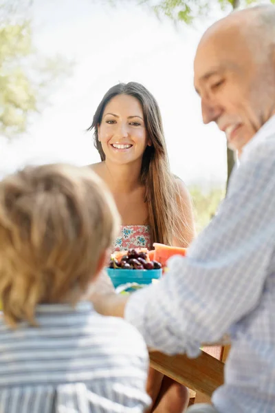 Picnic Familiar Multigeneracional —  Fotos de Stock