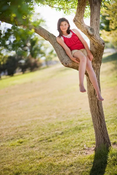 Chica Joven Sentada Árbol —  Fotos de Stock
