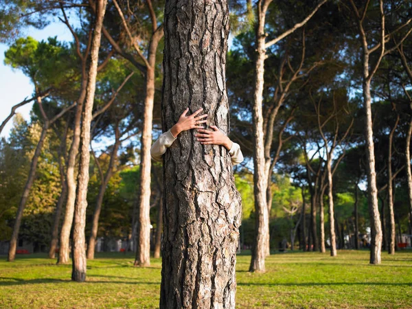 Vue Face Une Femme Embrassant Arbre Dans Une Forêt — Photo