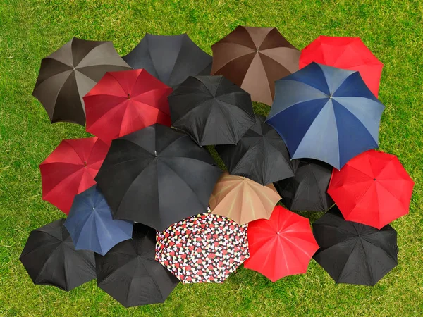 colorful opened umbrellas