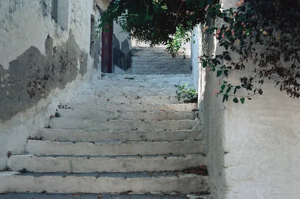 Escadas de rua com grama crescente — Fotografia de Stock