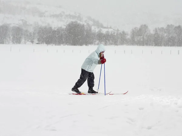 Dziewczyna Nartach Spacerująca Śniegu — Zdjęcie stockowe