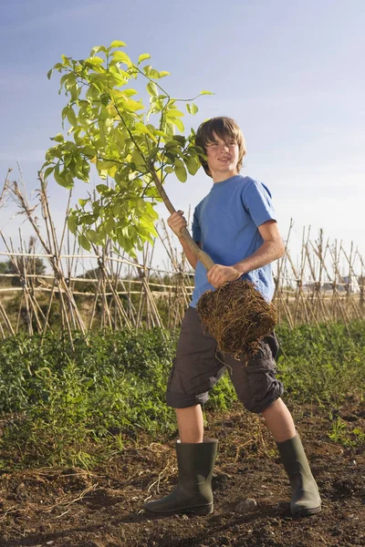 Vorpubertärer Junge Hält Baum — Stockfoto