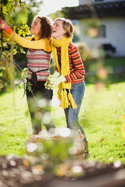 Retrato Duas Mulheres Jardinagem Outonal Juntos — Fotografia de Stock