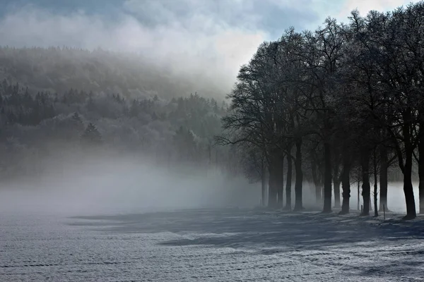 Зимовий Пейзаж Туманним Лісом Сутінках — стокове фото