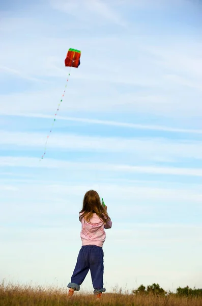 Ragazza Che Vola Aquilone Campo — Foto Stock