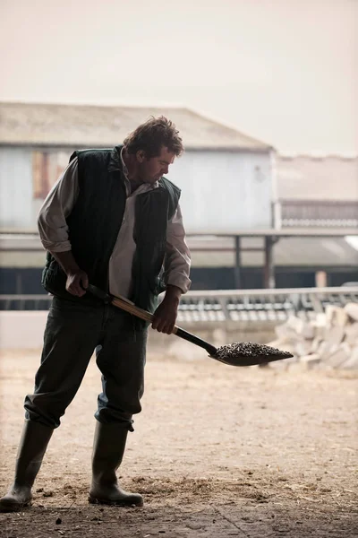 Retrato Del Agricultor Paleando Pienso Para Animales — Foto de Stock