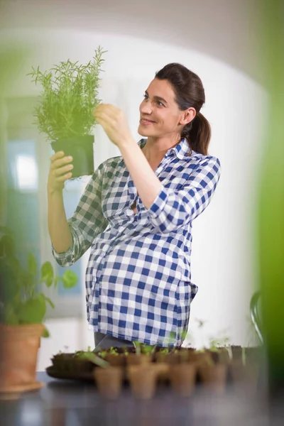 공장을 보고 임신한 여자 — 스톡 사진