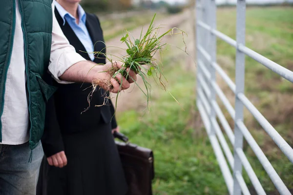 Agricultor Mostrando Culturas Mulher Negócios — Fotografia de Stock