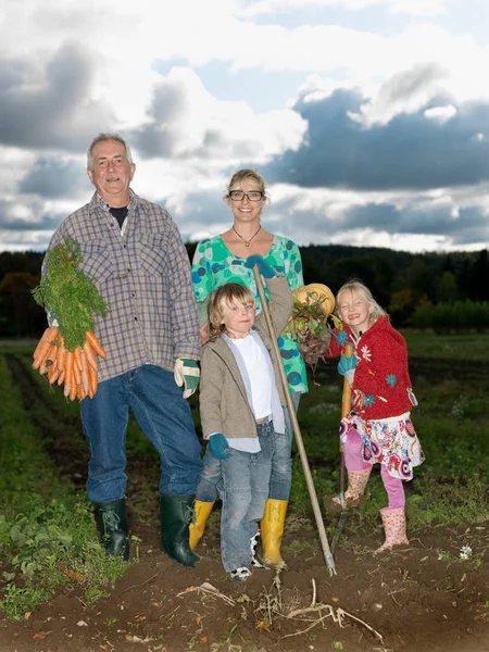 Family Carrot Field — Stock Photo, Image
