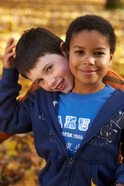 Dos Chicos Jugando Parque Otoño —  Fotos de Stock