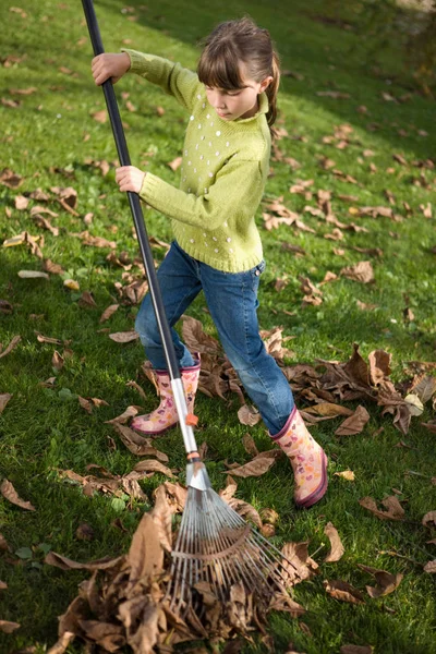 Menina Raking Queda Folhas Jardinagem Outonal — Fotografia de Stock