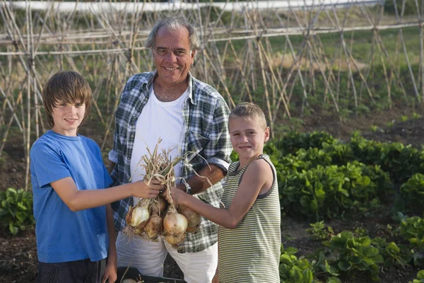 Grandfather Grandsons Holding Onions — Stock Photo, Image