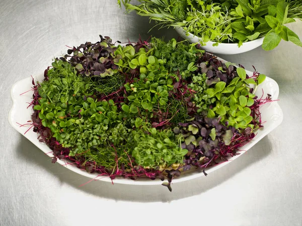 Waterkers salade en kruiden in kommen — Stockfoto